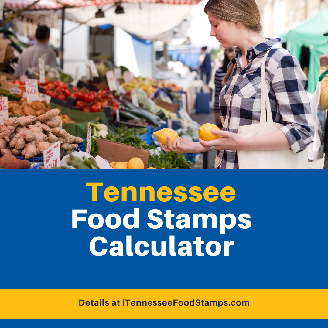 "Tennessee Food Stamps Calculator"