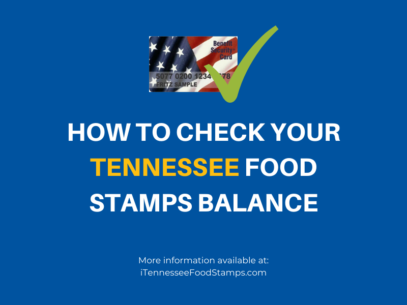 Tennessee Food Stamps Balance Number Tennessee Food Stamps