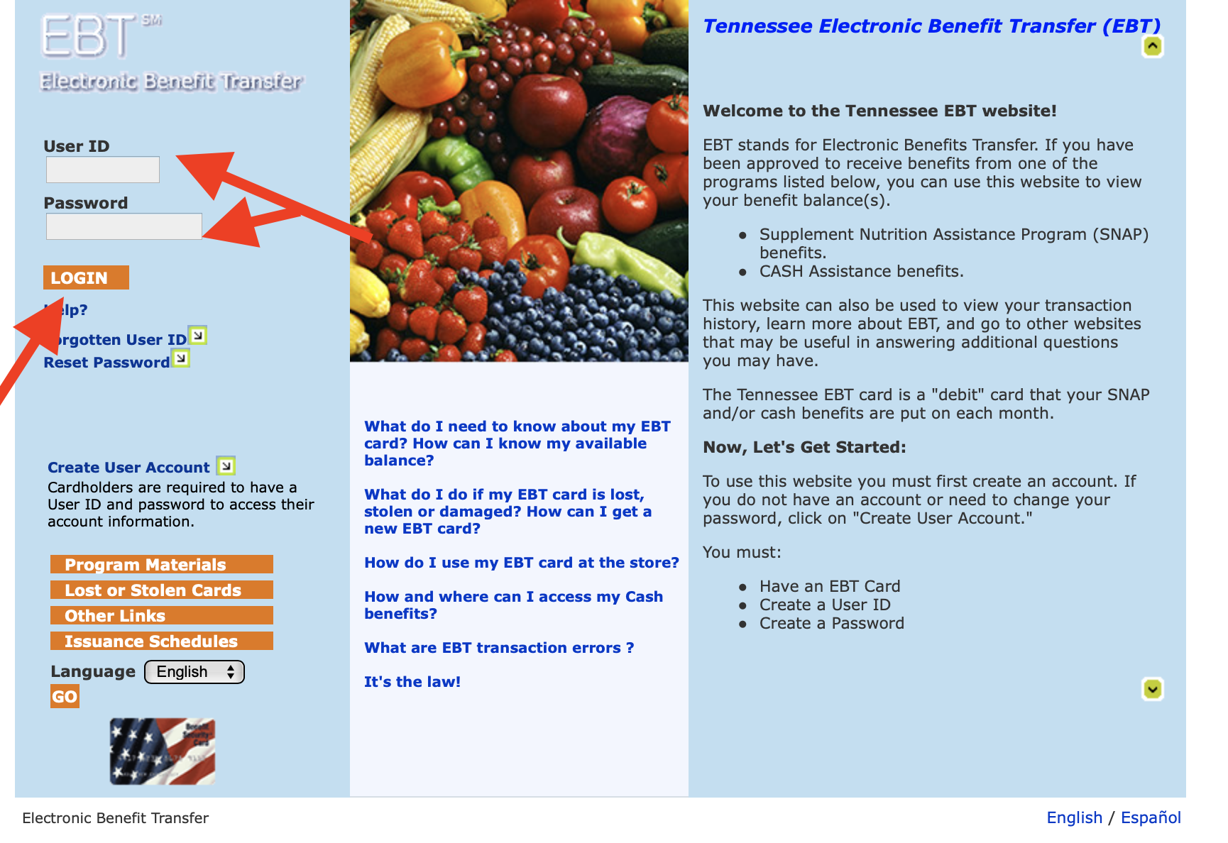 Tennessee Food Stamps Balance - Tennessee Food Stamps